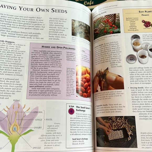 Gardening Essentials Book Hardcover Coffee Table Book Garden Club 2006 Oversized - Picture 10 of 16